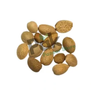 Almond image