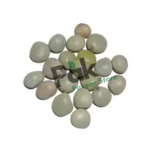 Bonduc Nuts image