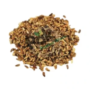 Chicory seeds image