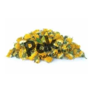 Dandelions image