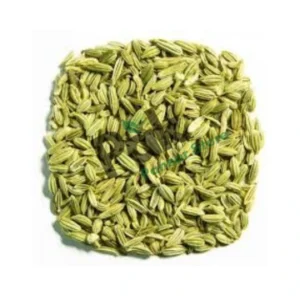Fennel image