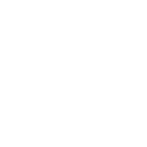 Pak Pansar Store