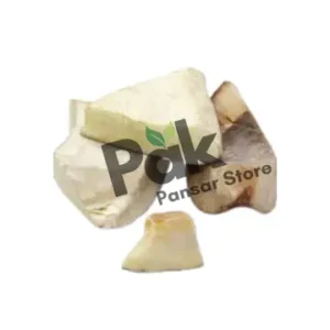 Sea Coconut image